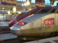 Eurostar Thalys and TGV.JPG